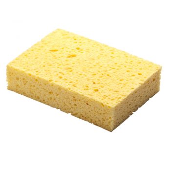 Raven Bailer Sailor Sponge