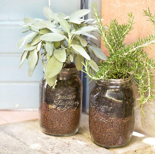 Bormioli Rocco Quattro Stagioni Jars Growing Sage