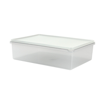 Cuisine Queen Rectangular Food Storer 2L White