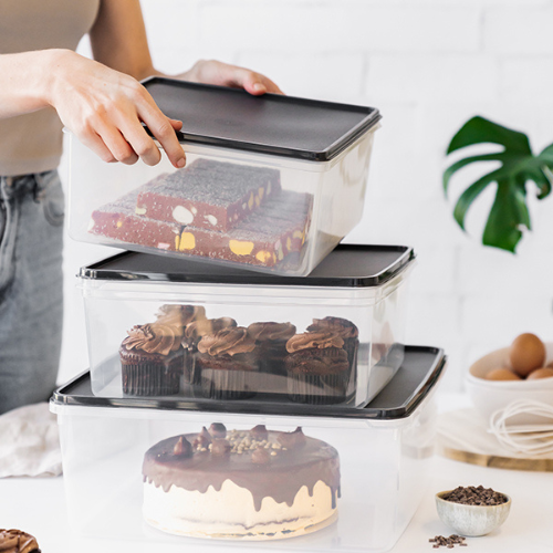 Cuisine Queen Square Cake Food Storer 8L (2)