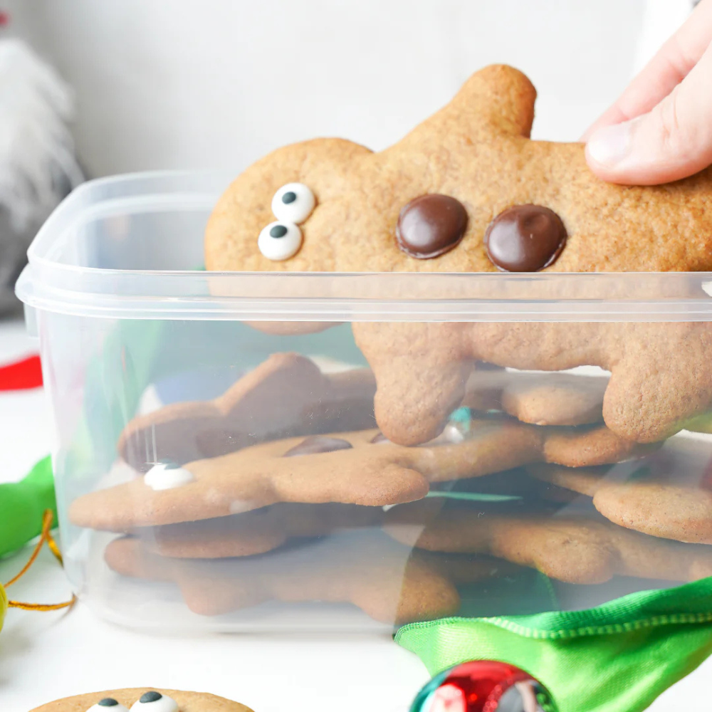 Decor Tellfresh® Oblong Storer 2L (3)