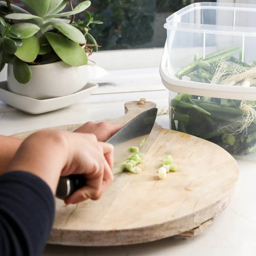 Decor Tellfresh® Super Storer 8.5L (2)