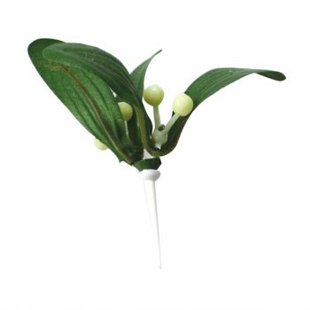 Mistletoe Pic 80mm