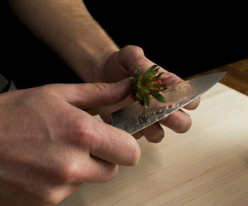 Kai Shun Japanese Knife