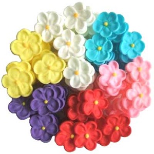 Small 5 Petal Flower Assorted Colours