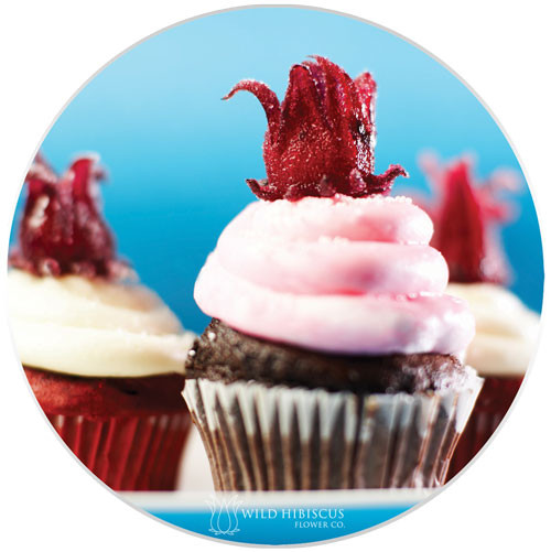 wild-hibiscus-frosting-cupcakes_