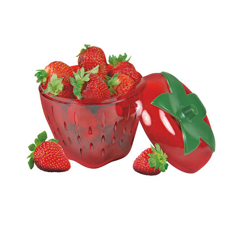 avanti strawberry saver