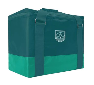 snazzee 30 ltr cooler