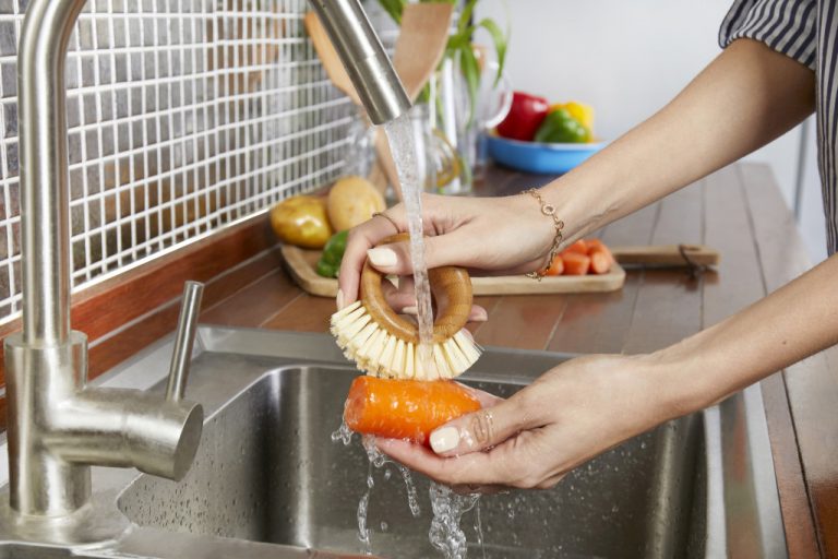 28830 – The Ring Veggie Brush – LS