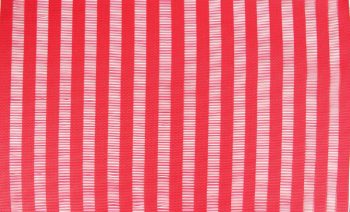 99779 - Vertical Stripe Placemat 12 Piece Set 30 x 45cm - Red