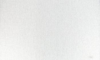 99785 - Natural Weave Placemat 12 Piece Set 30 x 45cm - White
