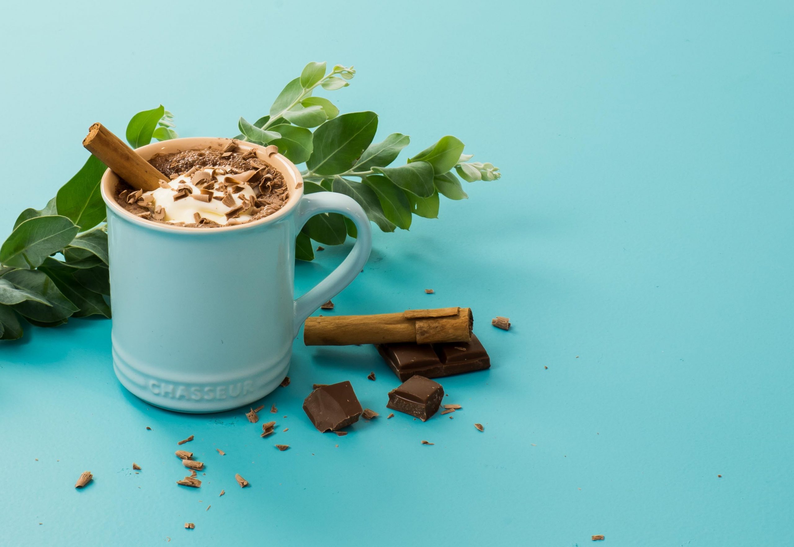 Duck Egg Blue La Cuisson Mug 19194 (2) copy