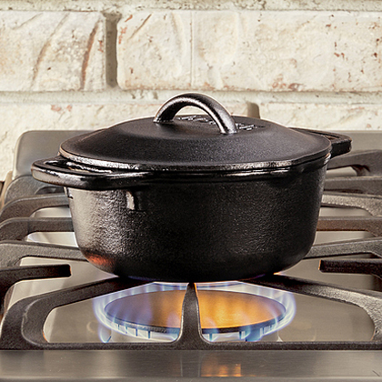 Cast iron Lodge Dutch Ovens 420