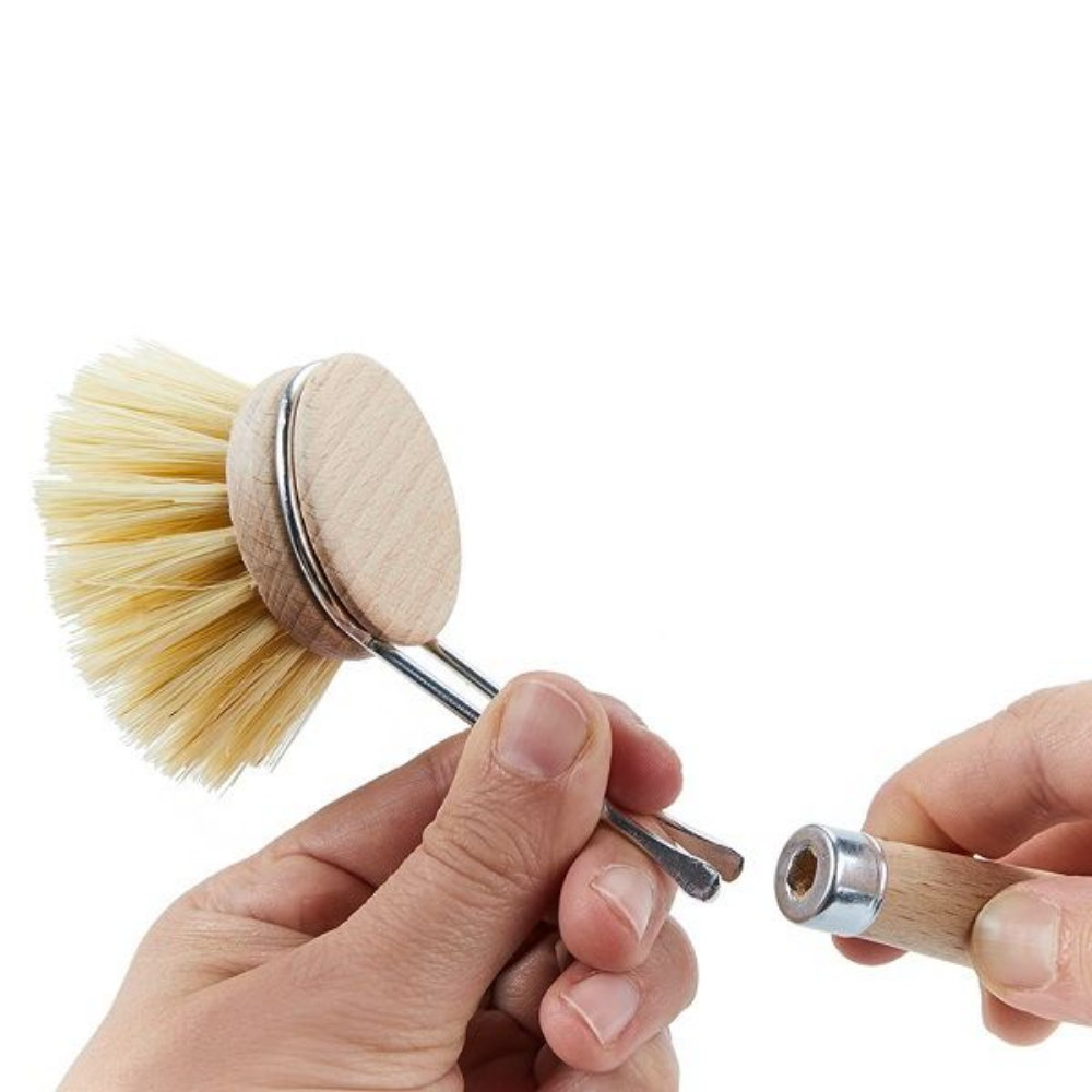 Dishy-dish-brush-50mm-RD3020190 (1)