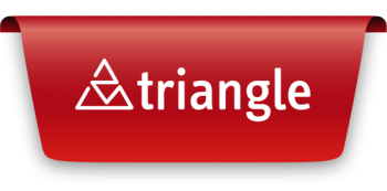 Triangle Logo