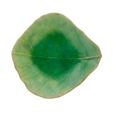 Costa Nova Riviera Leaf Dip Dish
