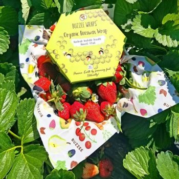 Buzzee Harvest Wrap Strawberry