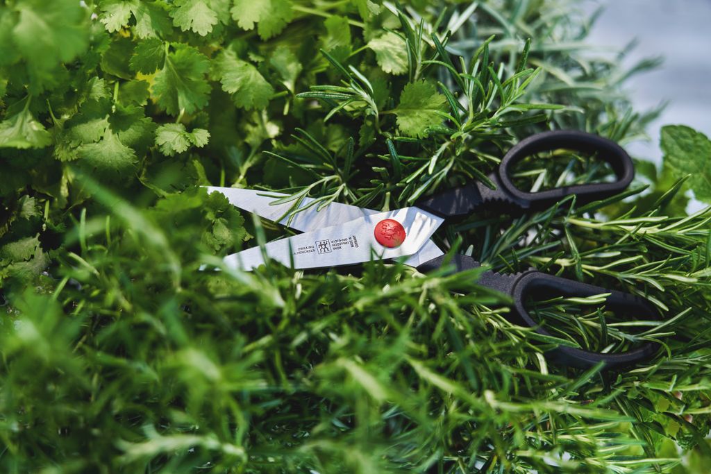 60294 – Zwilling TWIN L Multi-Purpose Shears – Black – LS (8)