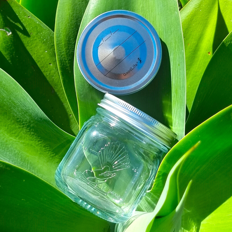 500ml pop top preserving jar (1)
