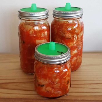 Fermenting Kimchi