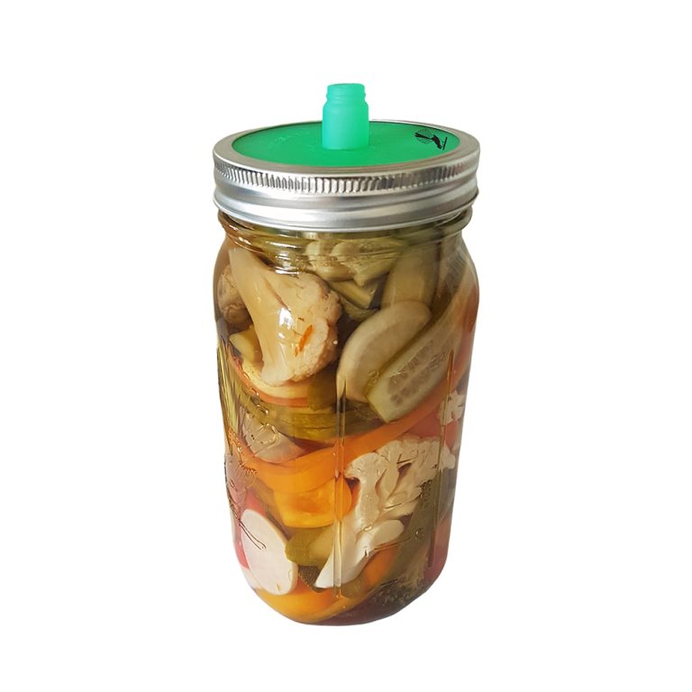 GoodLife Fermentation Kit with pickled veg DS
