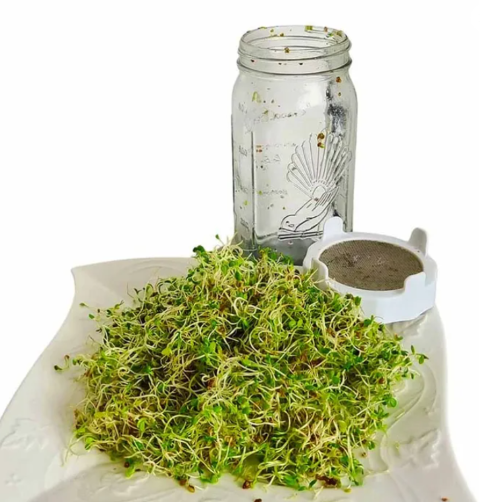 Goodlife Sprouting Jar Kit 1L (3)