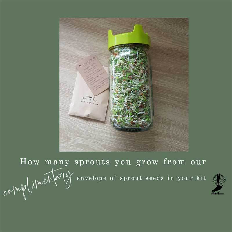 Growing.Sprouts_1024x1024@2x