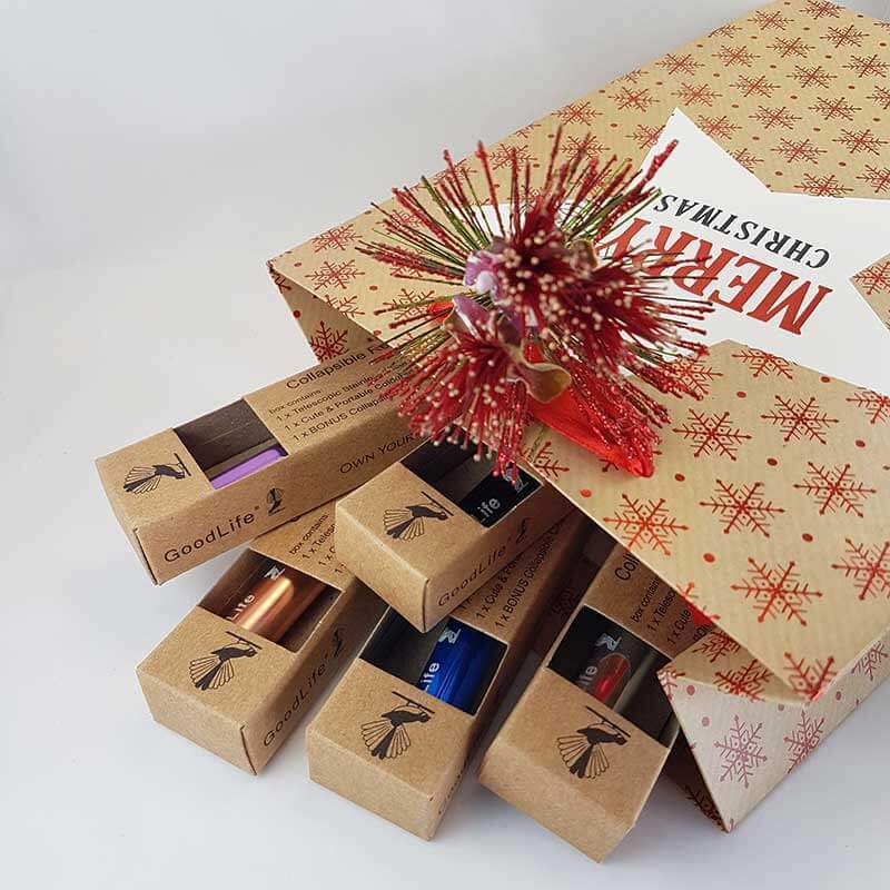 LR.Reusable.Metal.Straw.Kits.Colours.Christmas_37087f77-857e-46c0-b1b4-6f591ee21aba_1024x1024@2x