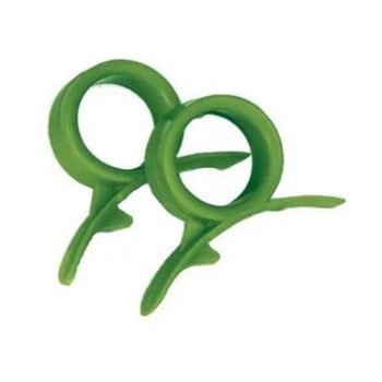Dexam Orange Peeler Green