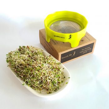 Sprout Lid with sprouts