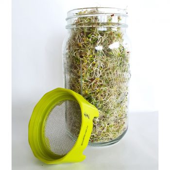 Sprouting Jar Kit 1L