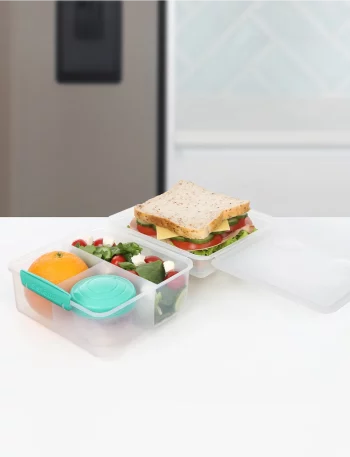 21745_lunchcubemaxtogo_bench_lifestyle_teal