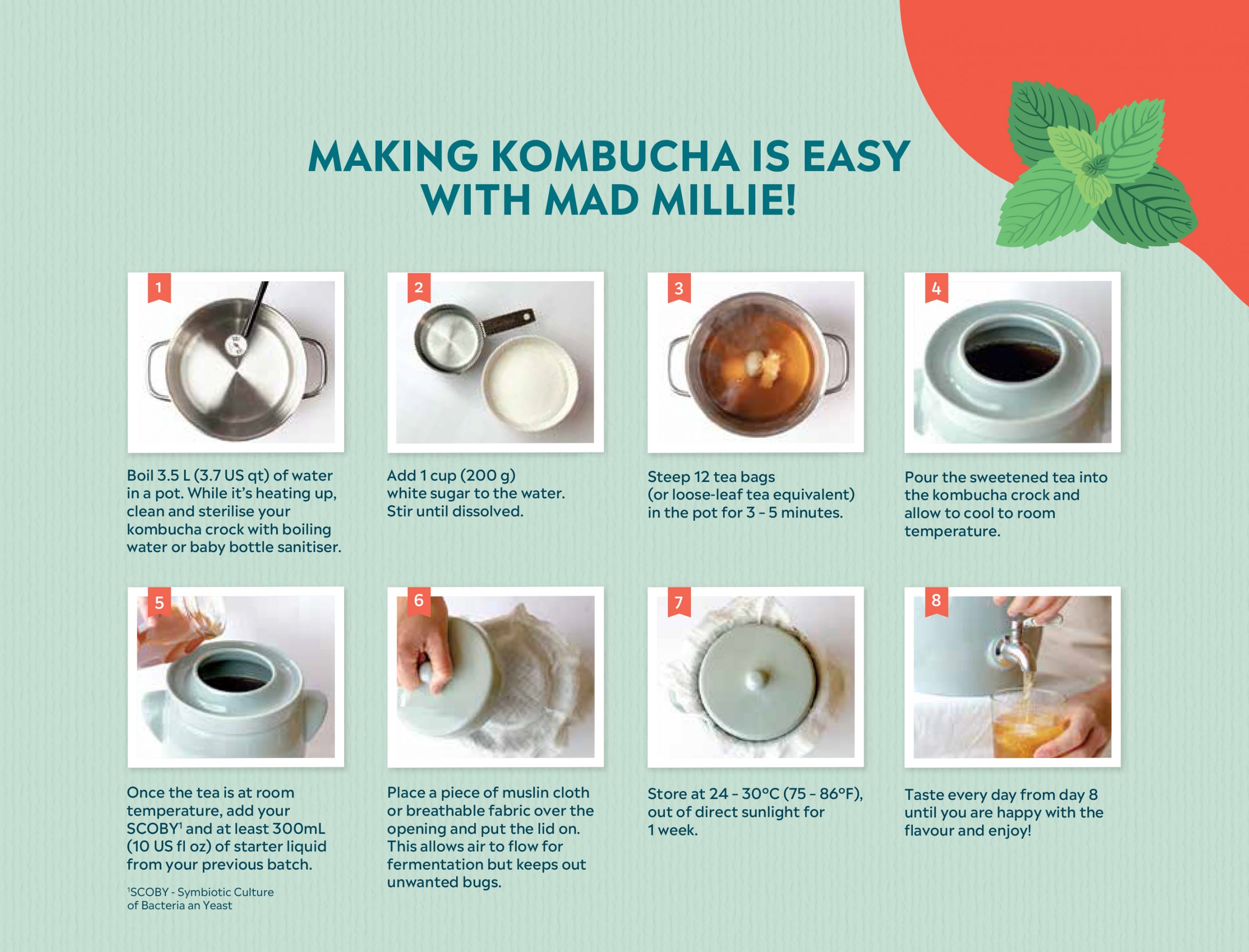 Mad Millie Kombucha Crock Product Image 8