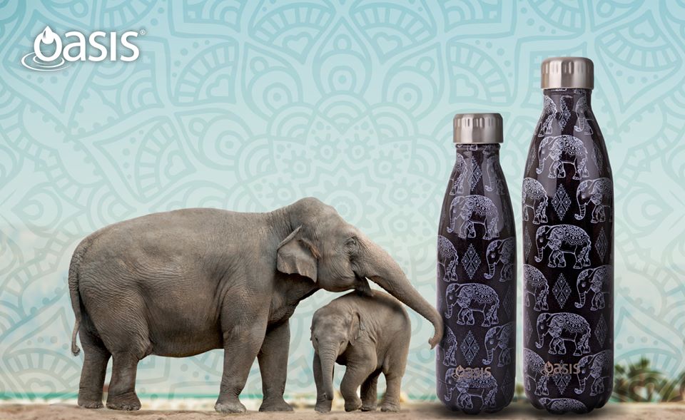 70221098_1433072226833982_1352330995004604416_o