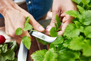 Urban Farmer-Pruning Knife-HR copy