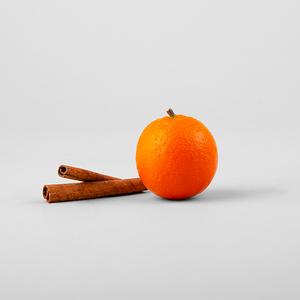 Cinnamin_and_Tangerine_Group_Shot_Feb_2019_300x300