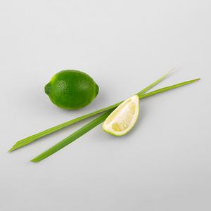 Lemongrass_and_Lime_Group_Shot_Feb_2019_300x300