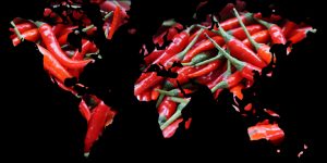 New Zealand Kitchen Products | Shop by Cuisine