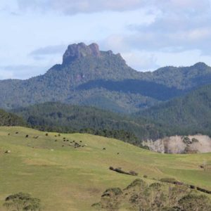 New Zealand Kitchen Products | Castle Rock