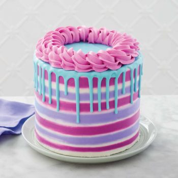 2107-0-0334-Wilton-Make-This-Cake-Striped-Drip-Cake-Decorating-Set-with-Tools–Instructions-12-Piece-L1