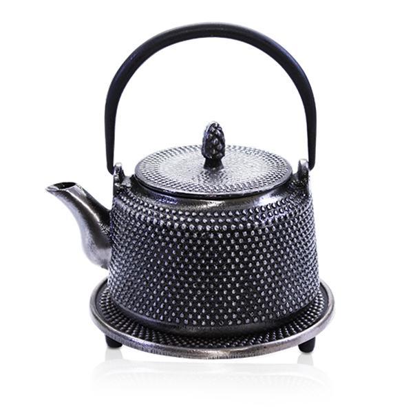 Strength_Silver_Iron_Teapot_500ml_UEB02305LS_600x600