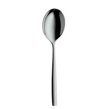 serving spoon 25cm wcx361