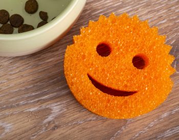 background_33 Scrub Daddy Orange