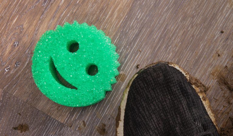 background_green Scrub Daddy