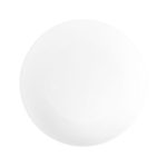 Wilkie Brothers New Bone Porcelain Coupe Entrée Plate 23cm