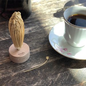 New Zealand Kitchen Products | Tabletop Accessories