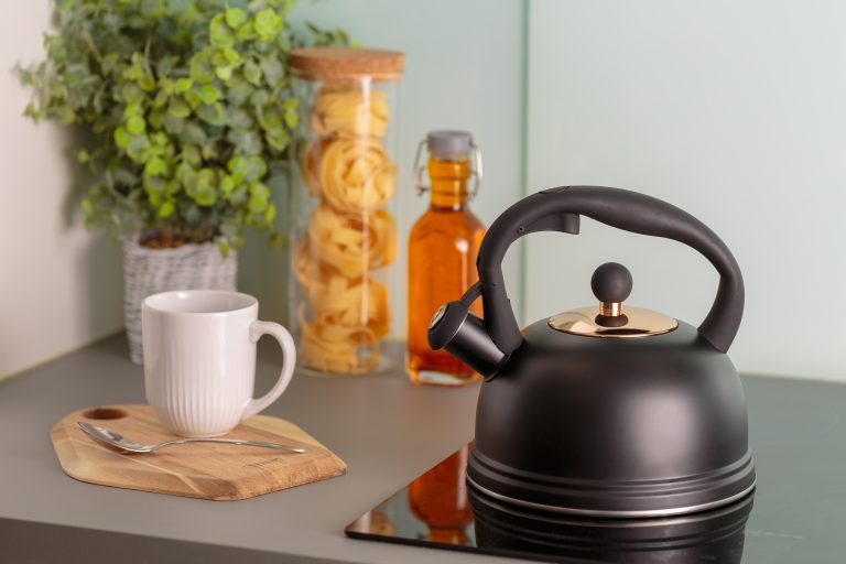 Typhoon Otto Stovetop Kettle