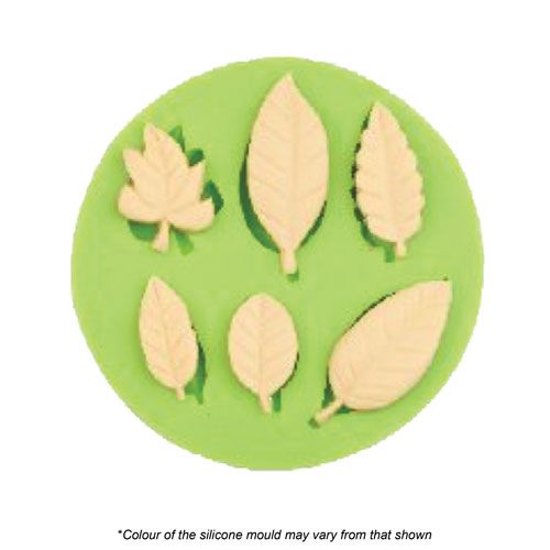 Assorted Leaf