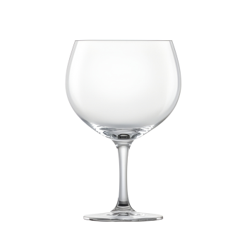 Schott Zwiesel Bar Special Gin & Tonic 710ml