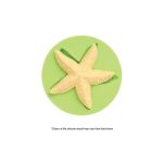 Silicone Mould Starfish Large